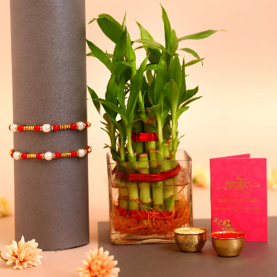 Pearl Rakhi Set & 2 Layer Bamboo Plant Vase