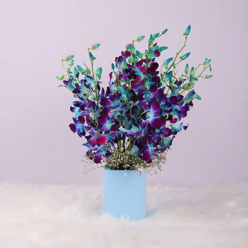  Mesmerising Blue Orchids Vase